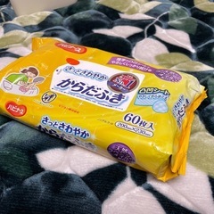 ハピナース　からだふき　使い捨てウェットボディタオル　介護用品 