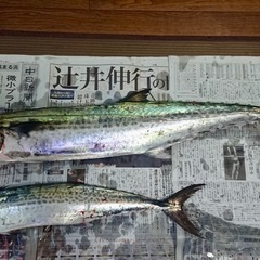 釣り行きましょう🎣 - 名古屋市