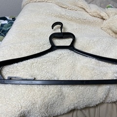 プラスチックハンガー　黒  計6本の画像