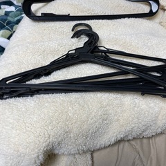 プラスチックハンガー　黒  計6本の画像