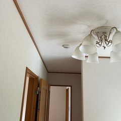 天井照明器具の画像