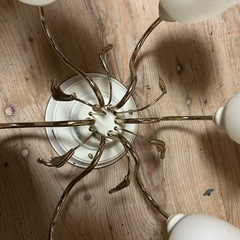 天井照明器具の画像