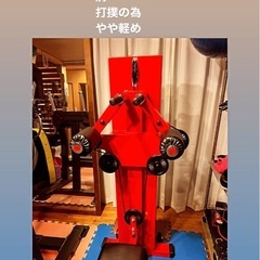 鍛錬製サイドレイズ、フライマシーン　値引きしました。の画像