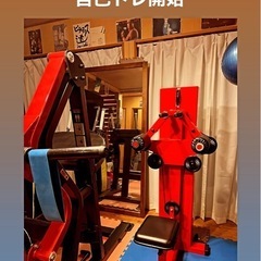 鍛錬製サイドレイズ、フライマシーン　値引きしました。の画像
