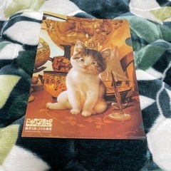 雑誌付録　猫イラスト　小さめクリアファイル　の画像