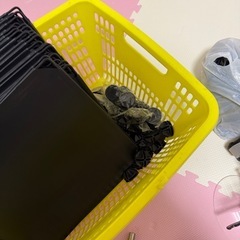 本ケース　シューズケース入れ
の画像