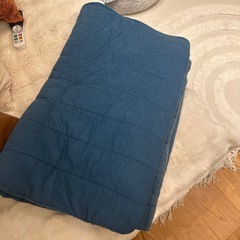 夏布団　シングルの画像