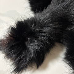 襟巻きの画像