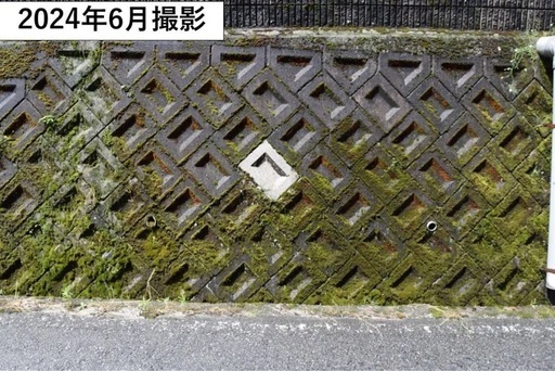 10年保証✨住宅コーティング