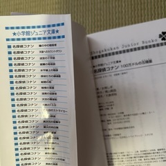 名探偵コナン　100万ドルのみちしるべの画像