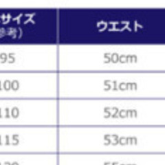 POLO RALPH LAUREN ダウンジャケットの画像