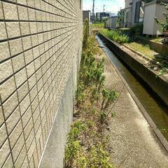 スマホで撮影します - 高岡市