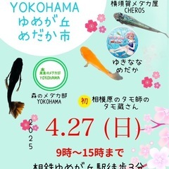 ゆめが丘めだか市❗️ 4月27日　日曜日