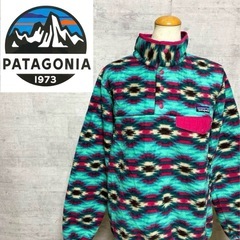 Patagonia シンチラスナップTフリース 希少柄