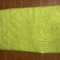 敷き布団（？）の画像