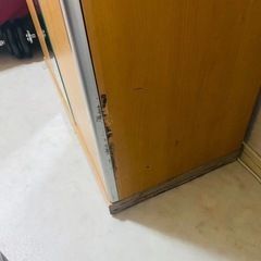 げた箱2月28日までの画像