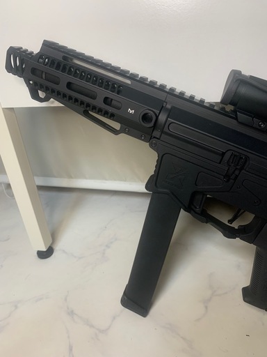 購入者決定　
ZION   ARMS   PW9   MOD1   訳あり