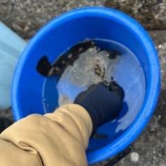 【募集】一緒に釣りしてくれる方！