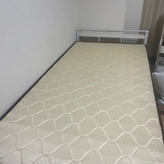 お渡し決定
の画像