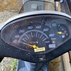 ホンダ　ディオの画像