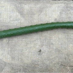 【訳あり】イボ支柱　φ16    180cm    10本セットの画像
