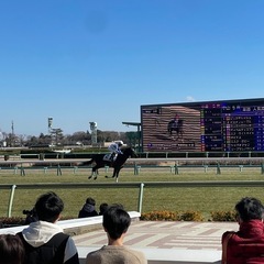 競馬仲間募集！一緒に競馬しませんか〜♪ - 友達