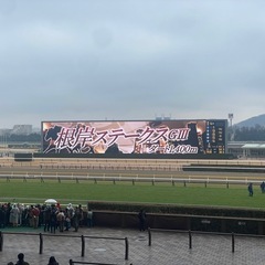 競馬仲間募集！一緒に競馬しませんか〜♪