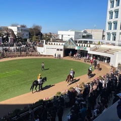 競馬仲間募集！一緒に競馬しませんか〜♪ - 中野区