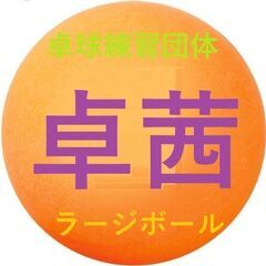 ラージボール卓球練習・さいたま市浦和区 - スポーツ