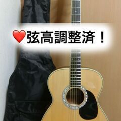 ❤️弦高調整済「LEGEND by Aria レジェンド FG-...