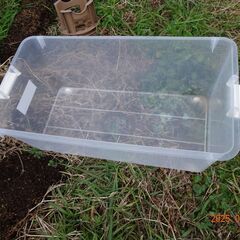 衣類収納プラスチックケース