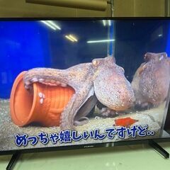 フナイ テレビ 43V型androidTV 4K液晶テレビ FL-43U3340 2021年