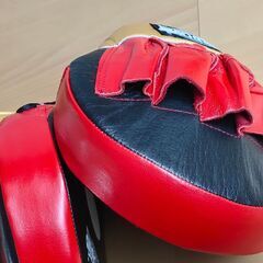 WORLDCHAMP パンチミット（ワールドチャンプ）左右２個セットの画像