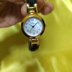 クロトン女性時計