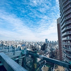 The Power of 鳶！の画像