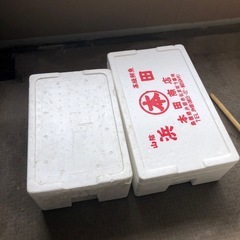 発泡スチロール　箱　