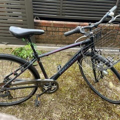お話し中　サイクリング自転車無料ジャンク