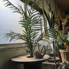 フェイク観葉植物