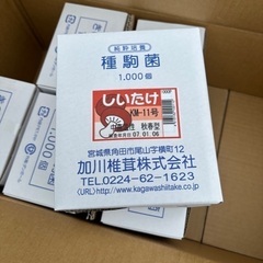 在庫ラスト、3000円原木用きのこ栽培種駒。しいたけは1箱のみな...