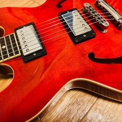 BLITZ by Aria ProⅡセミアコ ES-335タイプの画像