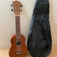 ウクレレの画像