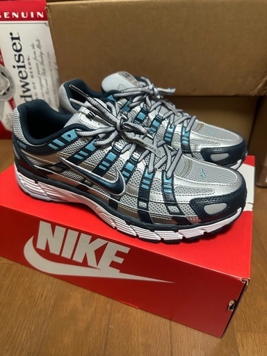 スニーカー Nike p-6000