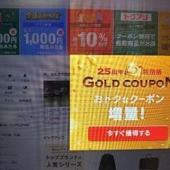 モバイルモニター ジャンク品の画像
