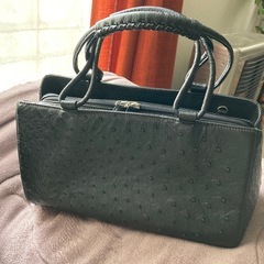 【美品】⭐️オーストリッチ‼️⭐️