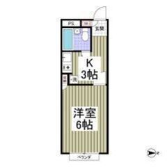 ✨🉐初期費用5万円パック❕＆フリーレント1ヶ月付き❕❕🉐✨敷金0...