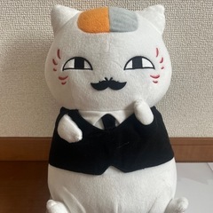 にゃんこ先生