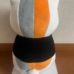 にゃんこ先生の画像