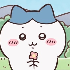 ハローキティぬいぐるみちいかわハチワレうさきま