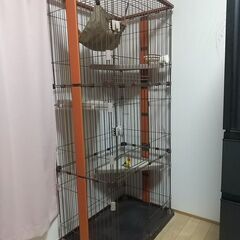 猫 ケージ ハウス(約55センチ×87×177)
