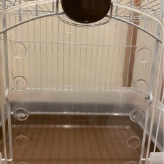 受渡し決定！美品！うさぎゲージの画像